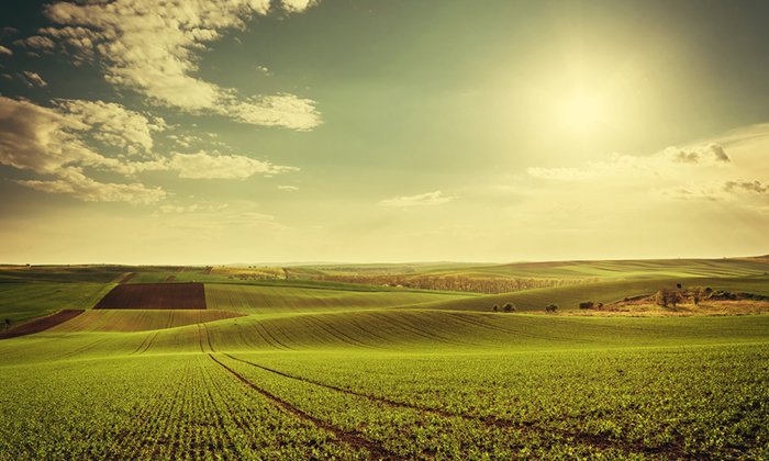 lotes de inversion una segura recuperacion